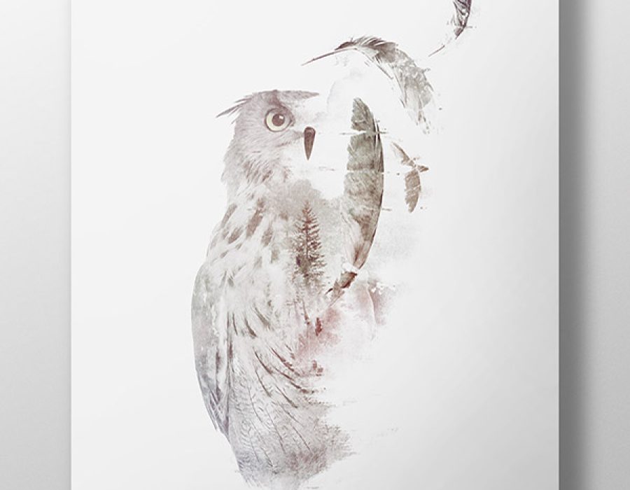 Illustrations 2014